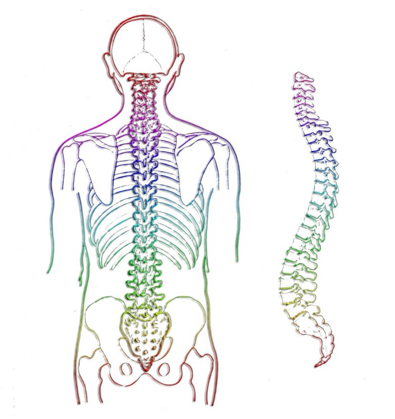 Causas del dolor lumbar - HeelEspaña