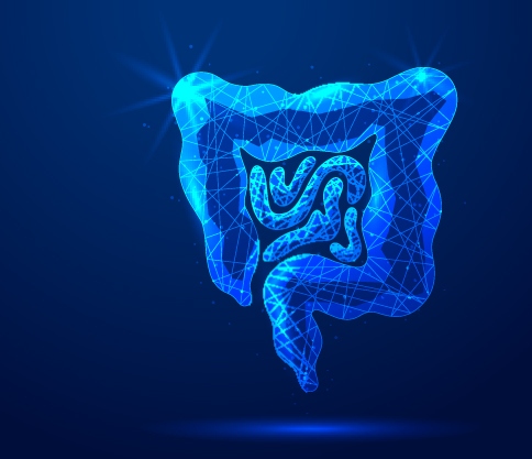 Evidencias: uso de probióticos y dermatitis