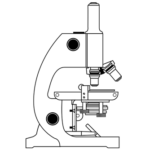 &iquest;Puede la microbiota ayudar a mejorar la dermatitis at&oacute;pica?: microbiota intestinal influencia dermatitis atopica heelprobiotics heelespana 150x150 - HeelEspa&ntilde;a
