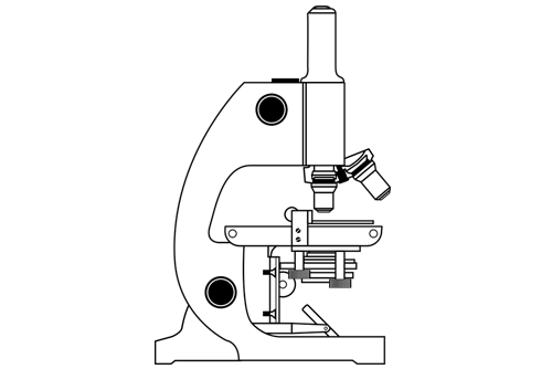 Relación entre la dermatitis atópica y la microbiota intestinal - HeelProbiotics - HeelEspaña