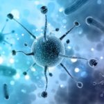 &iquest;Qu&eacute; es la disbiosis intestinal y c&oacute;mo afecta a tu salud?: bacterias flora intestinal heelespana 150x150 - HeelEspa&ntilde;a