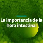 Inicio: importancia flora intestinal 150x150 - HeelEspa&ntilde;a