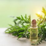 &iquest;Cu&aacute;l es la temperatura ideal para dormir?: fitoterapia 150x150 - HeelEspa&ntilde;a