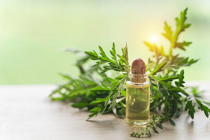 fitoterapia para dormir mejor