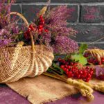 &iquest;Por qu&eacute; tengo ganas de orinar constantemente?: brezo cistitis  150x150 - HeelEspa&ntilde;a