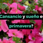 Inicio: cansancio sueno primavera 150x150 - HeelEspa&ntilde;a