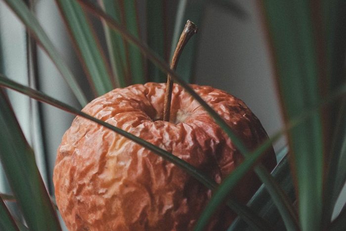 Cambios en la microbiota con la edad