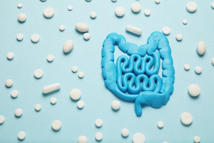 Relacion entre microbiota alterada y problemas de metabolismo