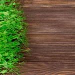 Comidas de verano saludables para no perder la forma: vegano salud 150x150 - HeelEspa&ntilde;a