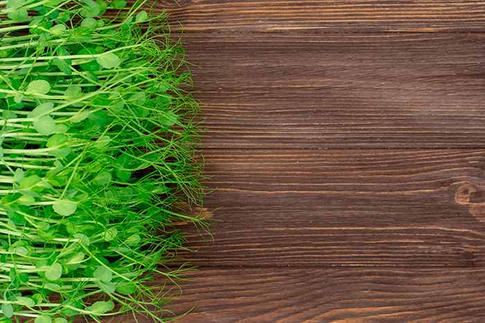 Ser vegano nos afecta