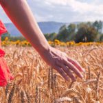 Intolerancia al huevo: &iquest;c&oacute;mo detectarla?: causas sensibilidad gluten 150x150 - HeelEspa&ntilde;a