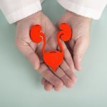 Cistitis: c&oacute;mo identificarla y prevenir su aparici&oacute;n: microbiota urinaria 150x150 - HeelEspa&ntilde;a