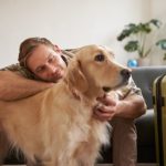 Salud articular en perros mayores: consejos pr&aacute;cticos: ansiedad mascota 150x150 - HeelEspa&ntilde;a