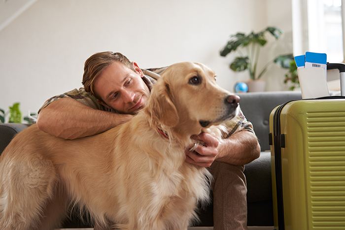 Ansiedad en las mascotas