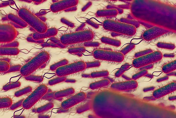 Sobrecreciendo bacteriano