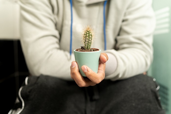 Causas de las hemorroides