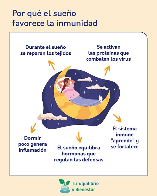 Cómo fortalecer el sistema inmune antes del invierno - HeelEspaña Cómo fortalecer el sistema inmune antes del invierno: sueno favorece inmunidad - HeelEspaña