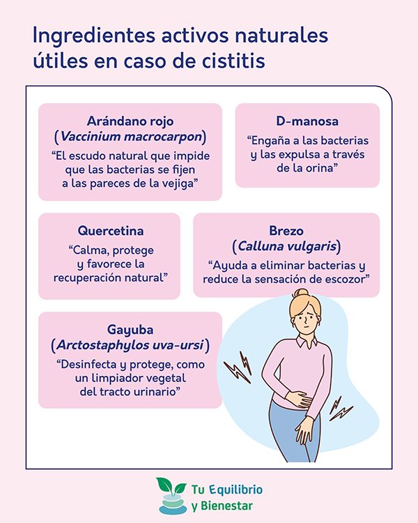 Cómo prevenir las cistitis recurrentes con soluciones naturales - HeelEspaña Cómo prevenir las cistitis recurrentes con soluciones naturales: ingredientes activos naturales utiles caso cistitis - HeelEspaña